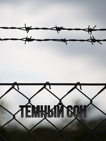Обложка книги Тёмный сон