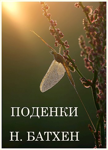 Обложка книги Поденки