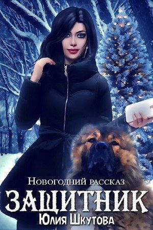 Обложка книги Защитник