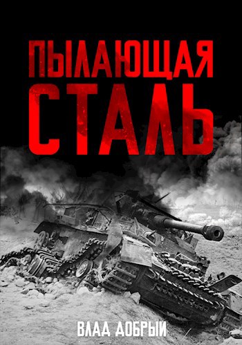Обложка книги Пылающая сталь