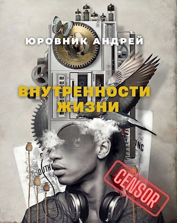 Обложка книги Внутренности жизни