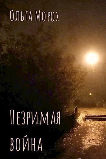 Обложка книги Незримая война