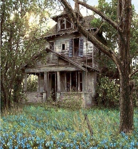 Обложка книги Дом в деревне