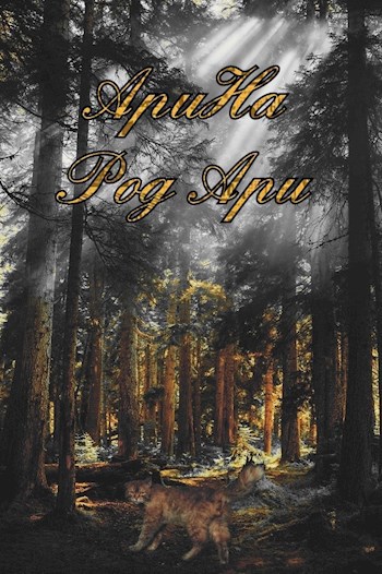 Обложка книги Арина. Род Ари.