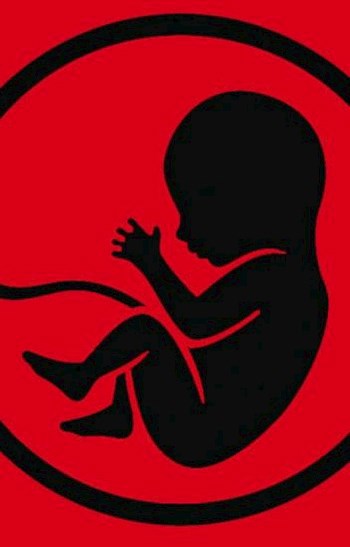 Обложка книги Abortus