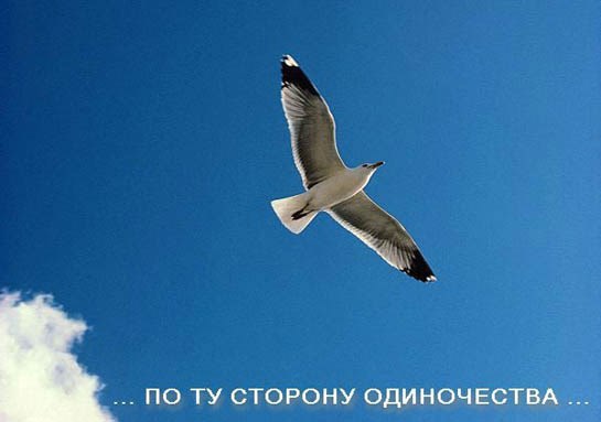 Обложка книги По ту сторону одиночества