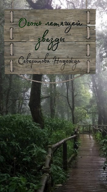 Обложка книги Огонь летящей звезды