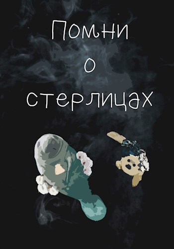 Обложка книги Помни о стерлицах