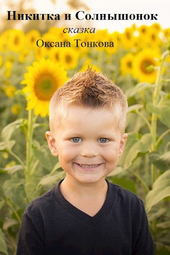 Обложка книги Никитка и Солнышонок
