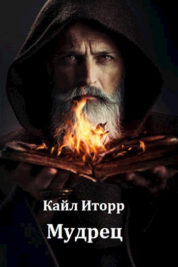 Обложка книги Мудрец