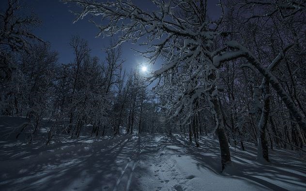 Обложка книги Холод