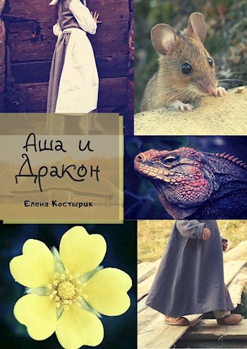Обложка книги Аша и дракон