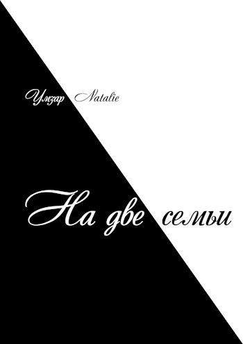 Обложка книги На две семьи