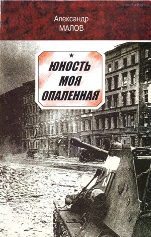 Обложка книги Юность моя опаленная