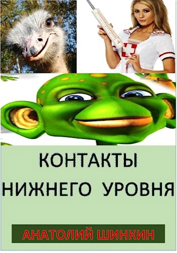 Обложка книги Контакты нижнего уровня