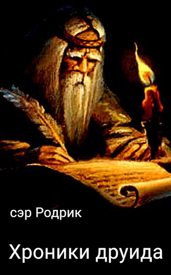 Обложка книги Записи друида