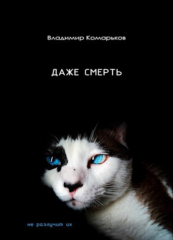 Обложка книги Даже смерть не разлучит их