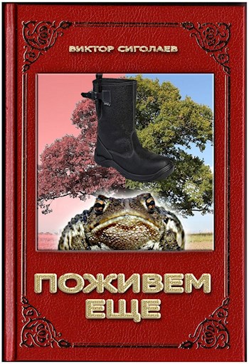 Обложка книги Поживем еще