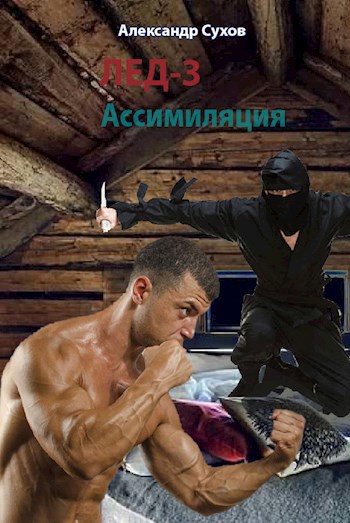 Обложка книги Лед 3. Ассимиляция
