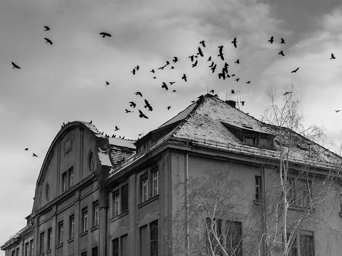 Обложка книги Клетка