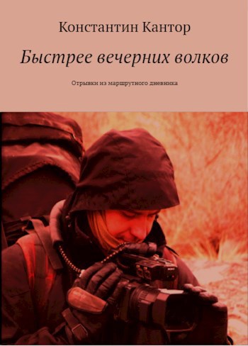 Обложка книги Быстрее вечерних волков