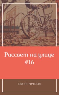 Обложка книги Рассвет на улице № 16