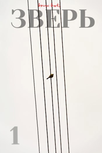 Обложка книги Зверь. Книга 1.