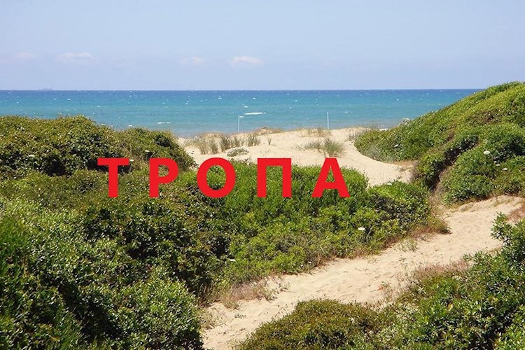 Обложка книги Тропа