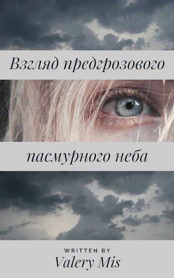 Обложка книги Взгляд предгрозового пасмурного неба