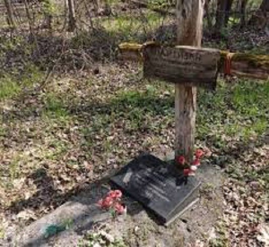Обложка книги Многострадальная Россеюшка