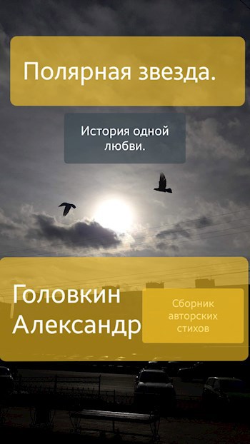 Обложка книги Полярная звезда