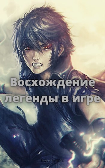 Обложка книги Восхождение легенды в игре
