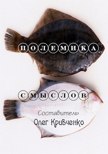 Обложка книги Полемика смыслов