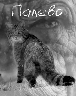 Обложка книги Палево