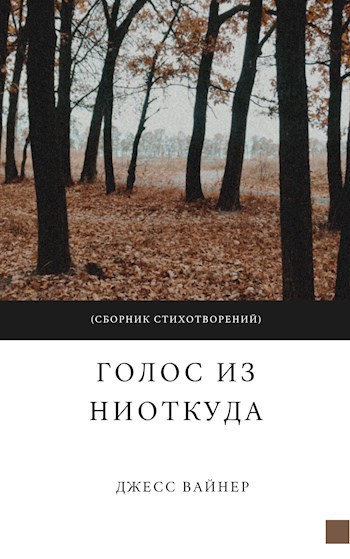 Обложка книги Голос из ниоткуда