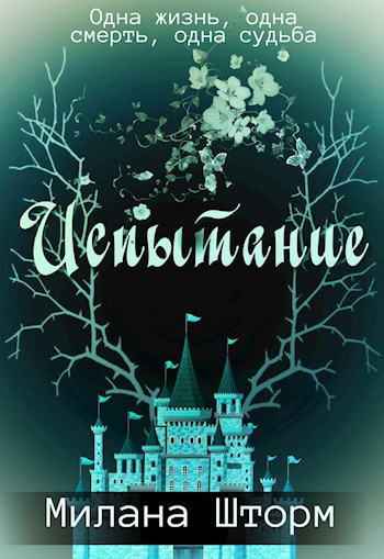 Обложка книги Испытание