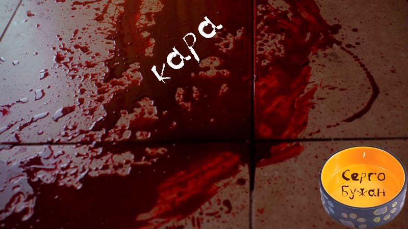 Обложка книги Кара