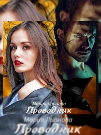 Обложка книги Проводник