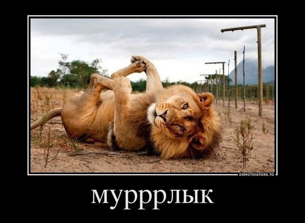 Обложка книги О правильной дороге