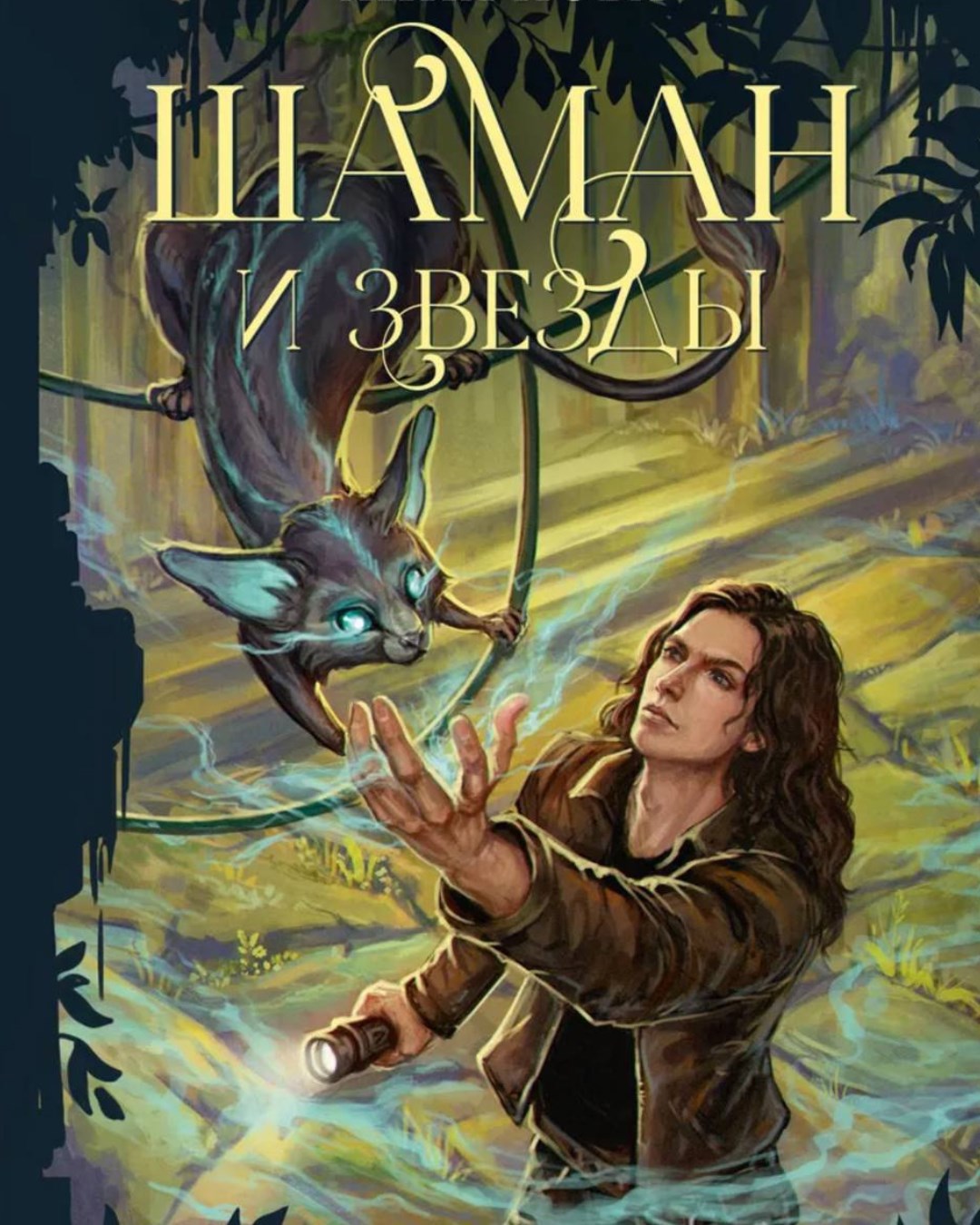 Обложка книги Шаман и звезды