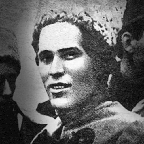 Обложка книги Эволюция. Темная сторона жизни