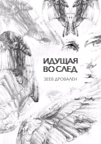 Обложка книги Идущая во след