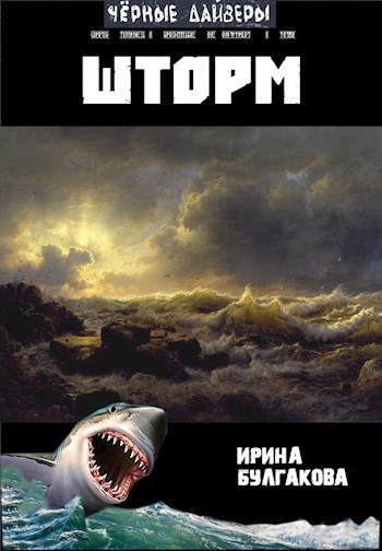 Обложка книги Шторм
