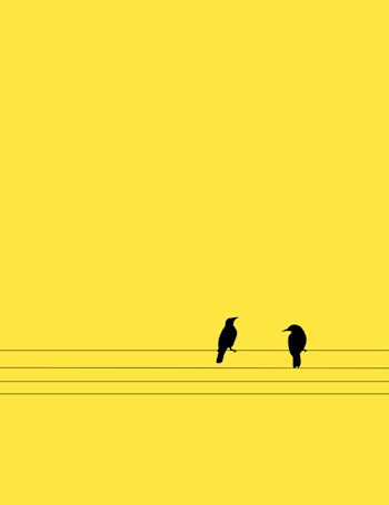Обложка книги Без букета нельзя