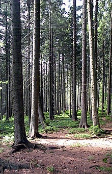 Обложка книги Центр мира
