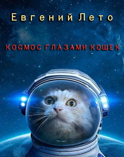 Обложка книги Космос глазами кошек