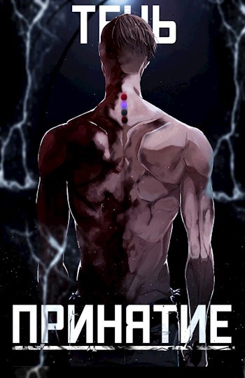 Обложка книги Тень. Принятие