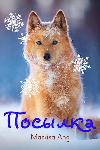 Обложка книги Посылка