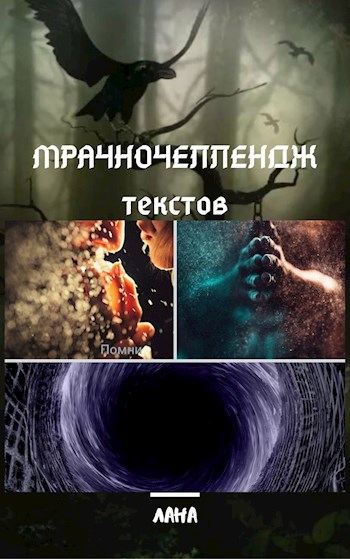 Обложка книги Мрачночеллендж текстов. 3. 30 секунд темноты