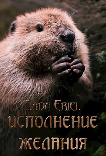 Обложка книги Исполнение желания